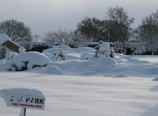Rockeryinsnow