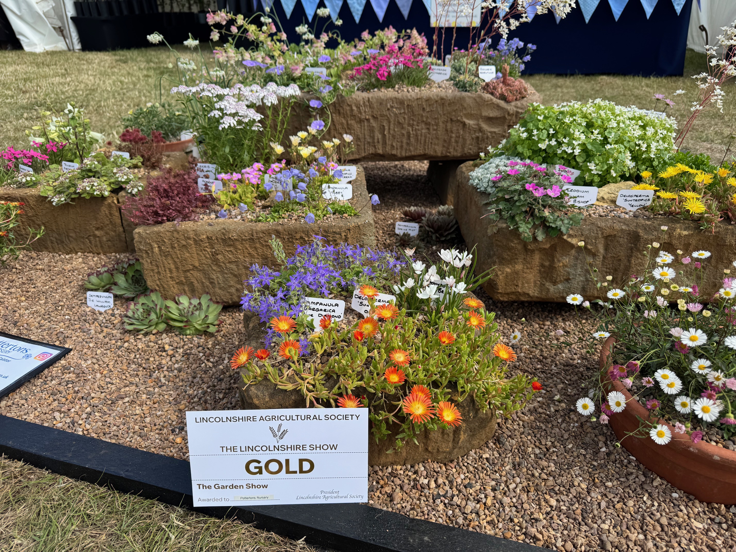 Gold medal at the Lincolnshire Show 2025
