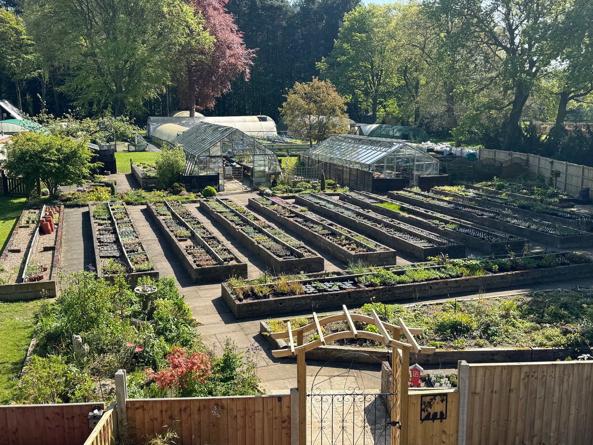 Spring at the nursery, with raised beds and glasshouses
