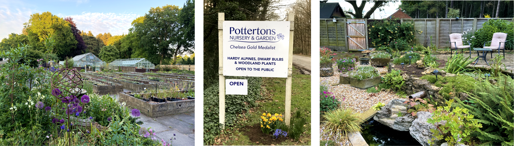 Photographs taken around the Pottertons Nursery sales area and display gardens